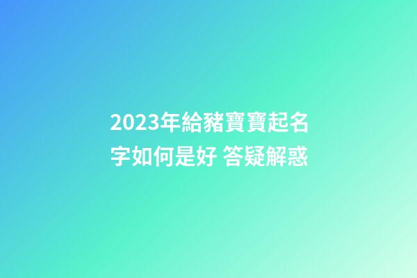 2023年給豬寶寶起名字如何是好 答疑解惑